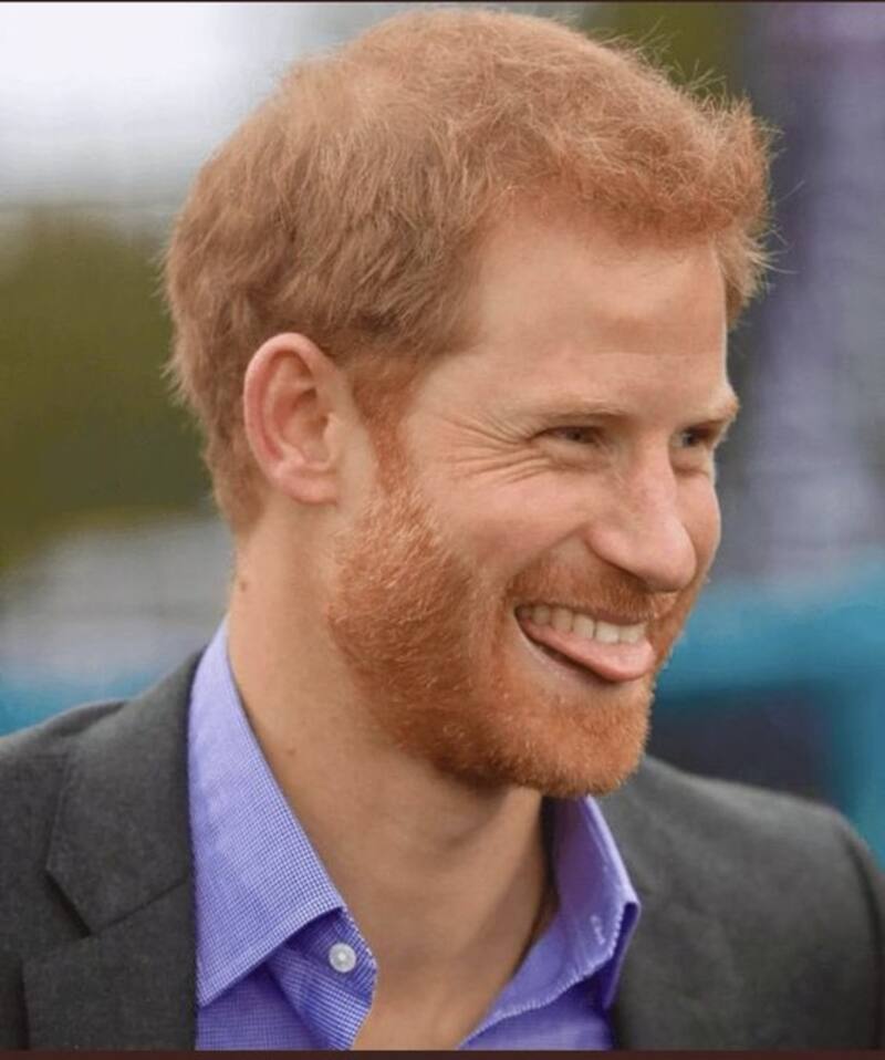 El príncipe Harry se burló de Graceland - Créditos: Twitter