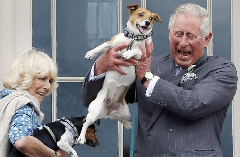 El Rey sorprendió en las libras y peniques británicos. - Créditos: Daily Mail