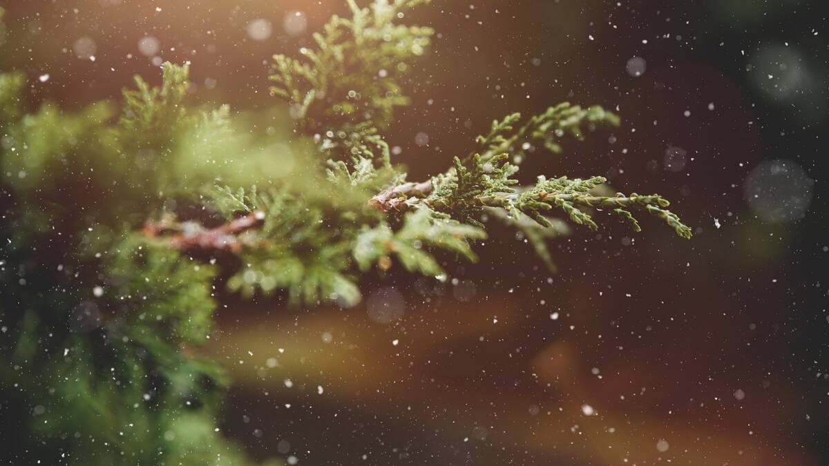Conoce el significado espiritual y astrológico del solsticio de invierno de este 21 de diciembre