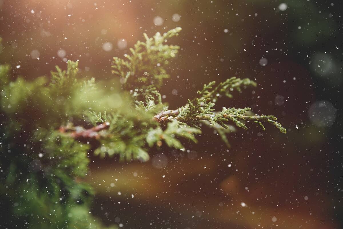 El solsticio de invierno mezcla una celebración de culturas ancestrales junto a un movimiento astrológico - Créditos: Pixabay