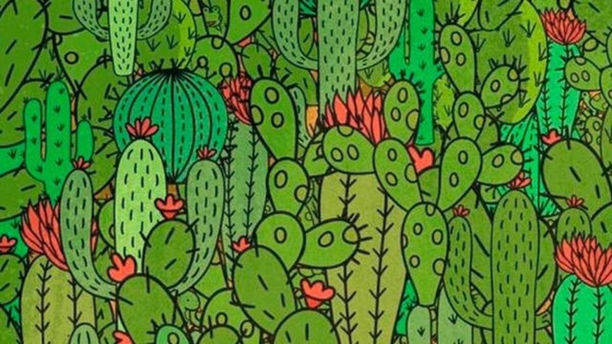 Encuentra a los tres animales escondidos - Créditos: El confidencial