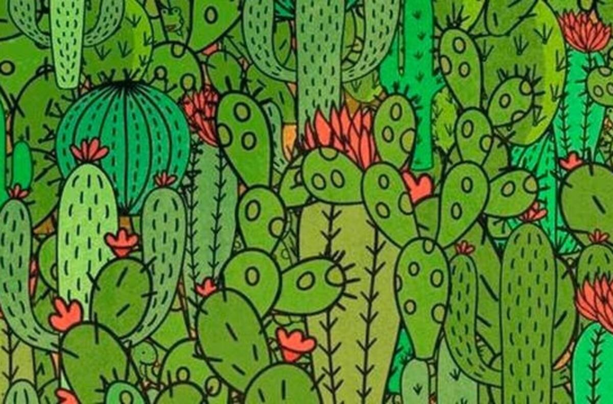 Reto visual: Encuentra tres animales escondidos entre los cactus