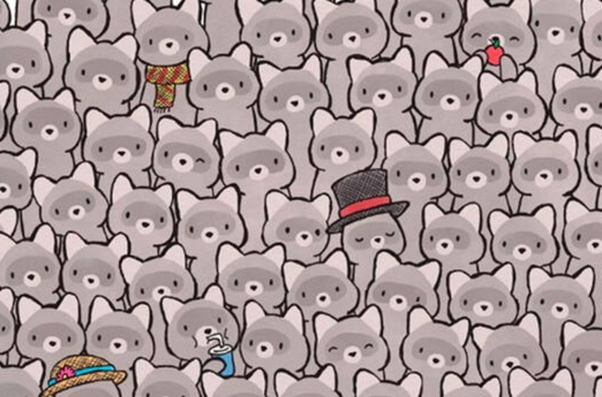 Reto visual: Un gato está escondido entre los mapaches ¿podrás encontrarlo?