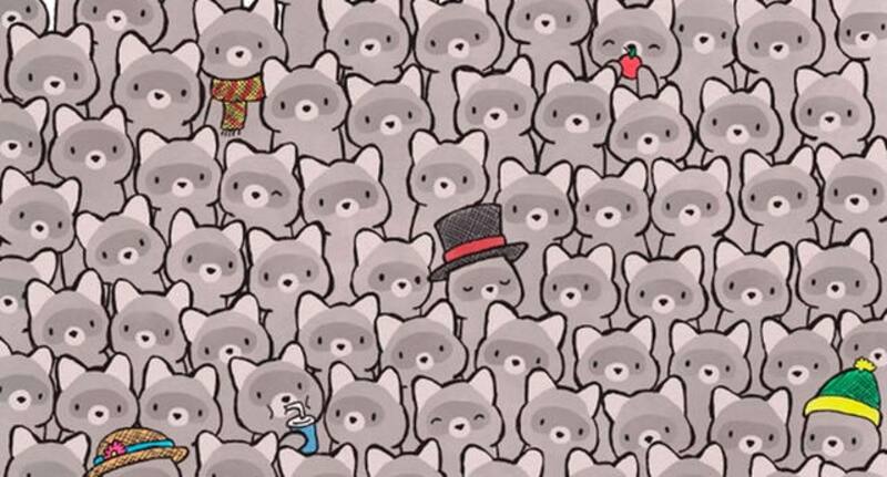 Encuentra al gatito entre los mapaches - Créditos: Dudolf