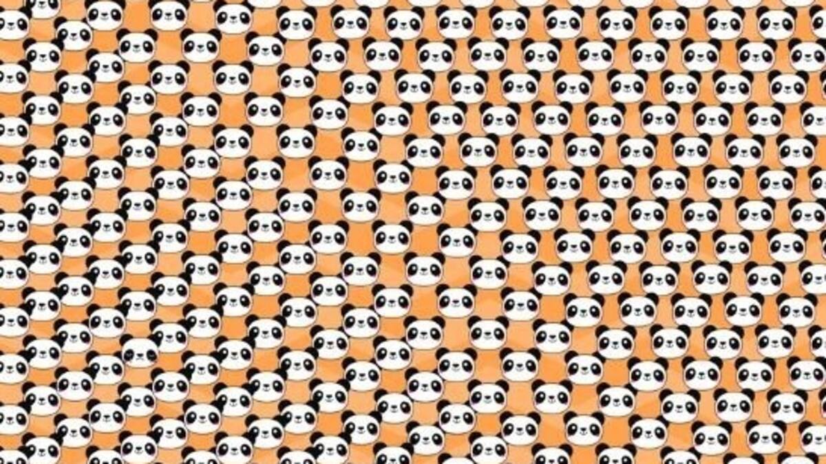 Reto Visual: ¿Puedes encontrar al panda que está triste en tan solo 10 segundos?