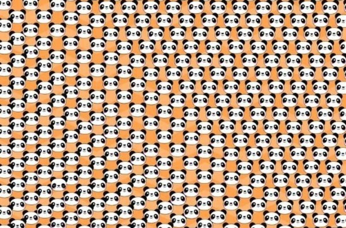 Reto Visual: ¿Puedes encontrar al panda que está triste en tan solo 10 segundos?