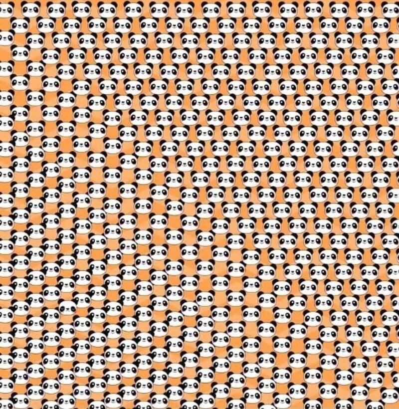 Encuentra al panda que está triste en menos de 10 segundos - Créditos: Internet