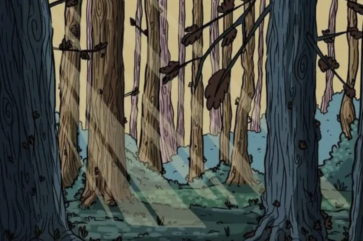 Encuentra el búho en el bosque - Créditos: La Nación