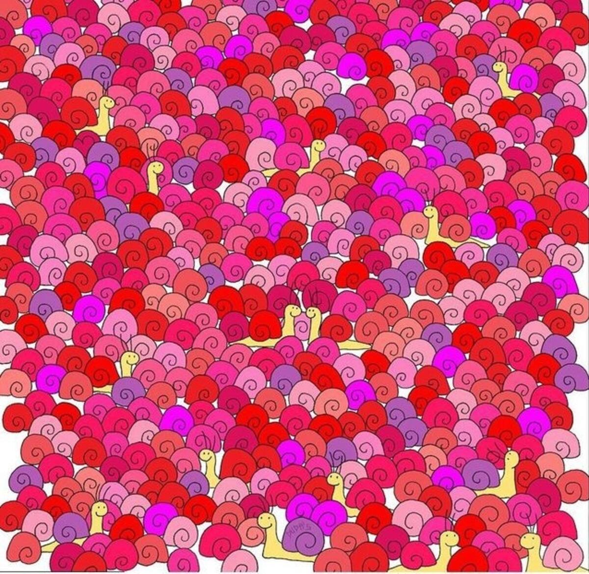 Encuentra el corazón entre los caracoles, tienes menos de 10 segundos - Créditos: Instagram