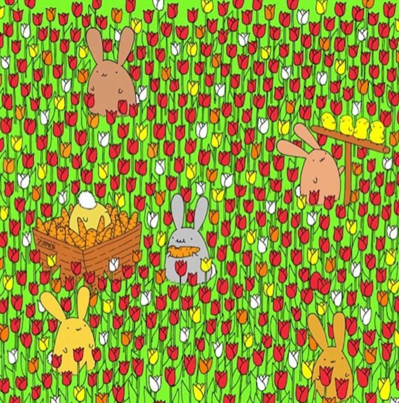Encuentra el huevo escondido entre los tulipanes - Créditos: Instagram