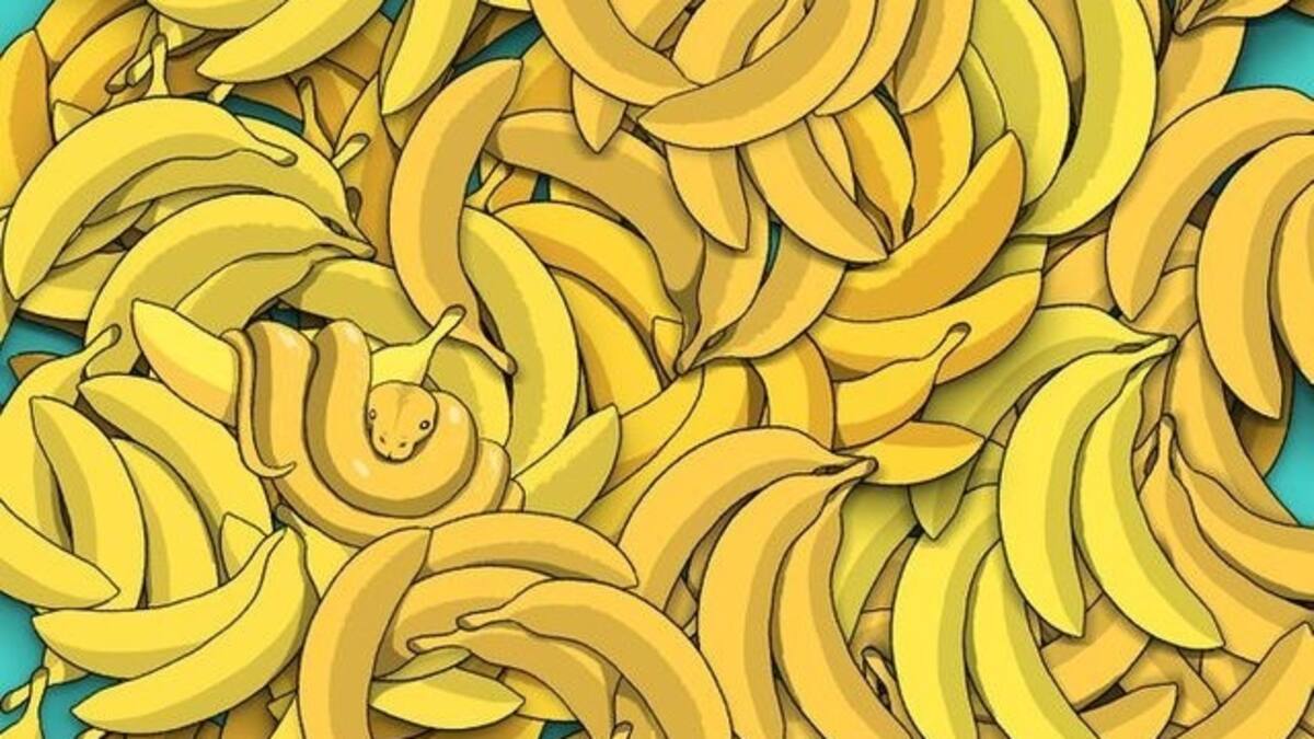 Reto visual: Encuentra la serpiente entre los plátanos