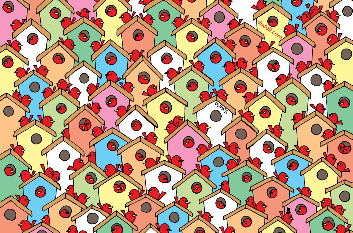 Reto visual: Encuentra las tres manzanas entre las aves