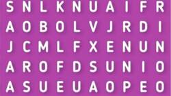 Reto: Encuentra la palabra oculta en la sopa de letras en menos de 30 segundos