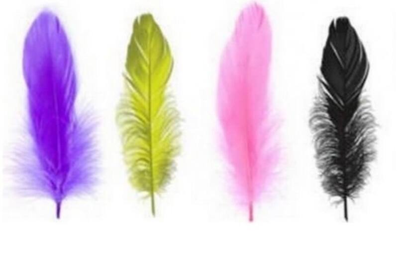 Escoge una pluma y descubre tu personalidad oculta - Créditos: Instagram