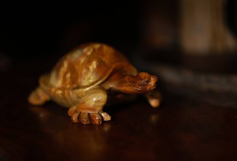 Coloca estatuillas de tortugas en los siguientes lugares para atraer la abundancia según el Feng Shui.