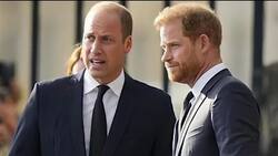 Harry no pudo despedirse de la reina Isabel II porque William lo dejó abajo del avión