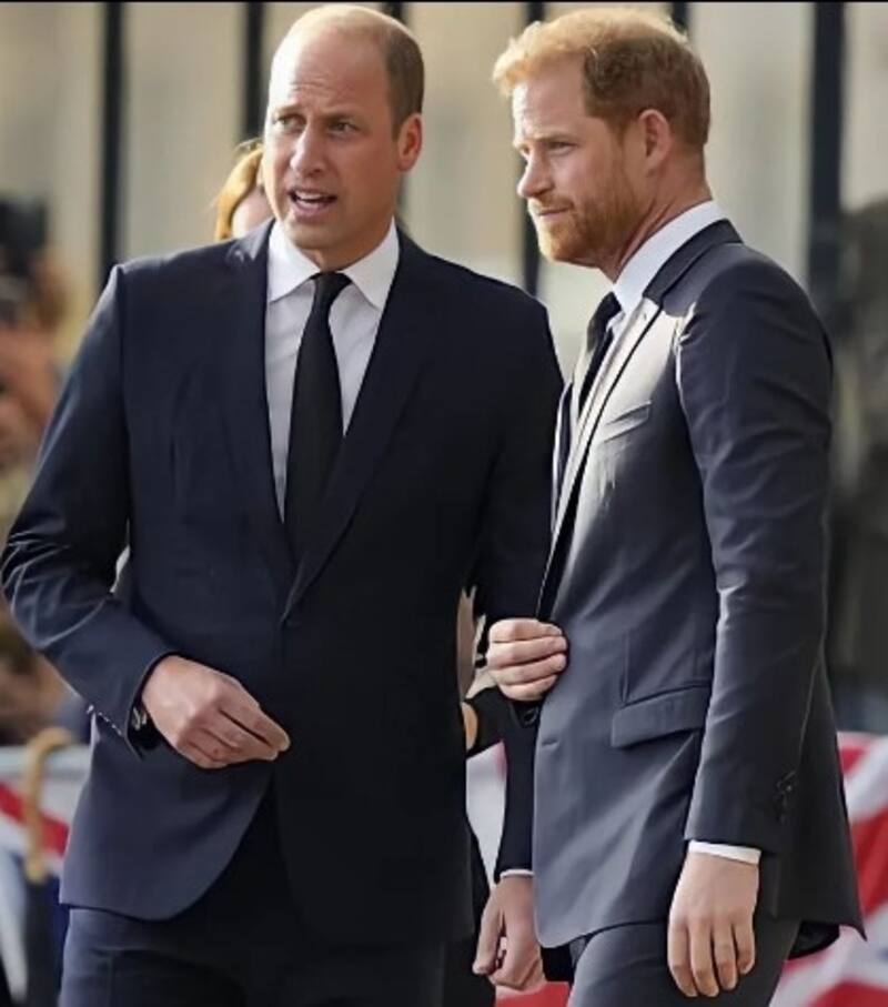 Harry no pudo despedirse de la reina Isabel II porque William lo dejó abajo del avión El hermano mayor no tuvo ganas ni paciencia para esperar a Harry - Créditos: Instagram