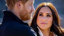 Harry y Meghan planean adquirir una isla privada como segunda vivienda además de Montecito