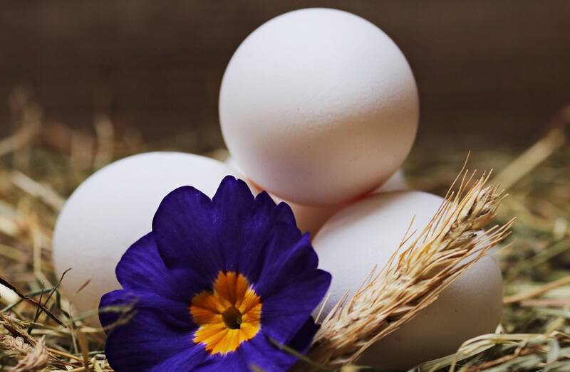 La mascarilla facial de aceite de coco y clara de huevo es una de las más efectivas para aquellas personas que sufren de piel seca | Foto: Befunky