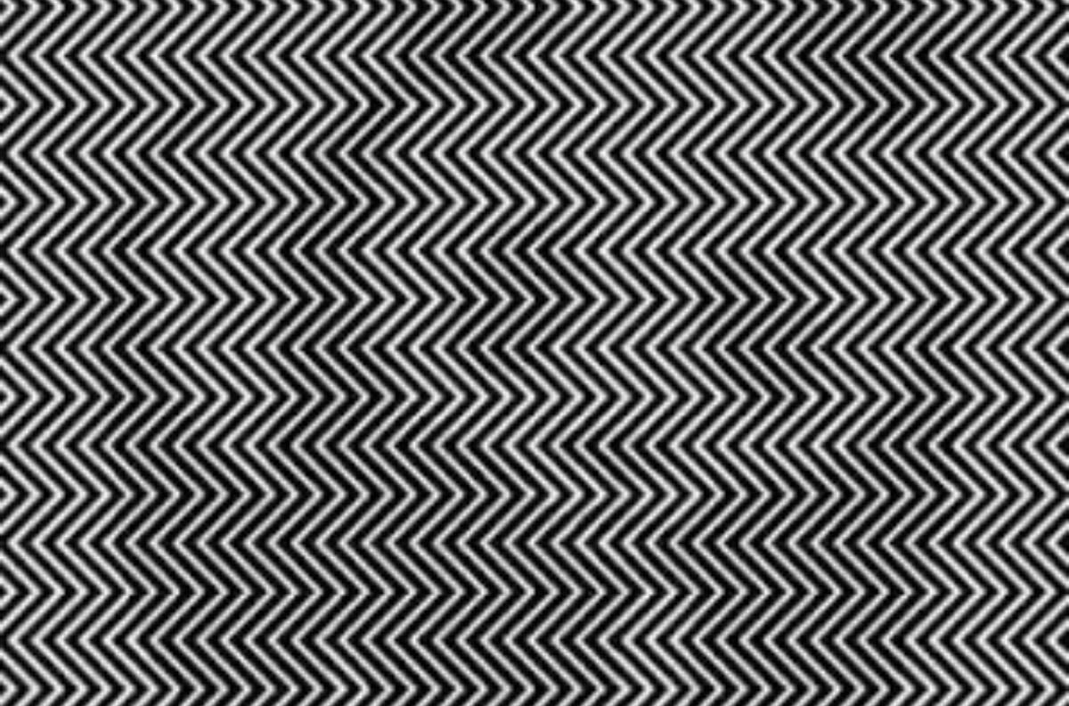 TEST VISUAL: Descubre el animal oculto en menos de 16 segundos