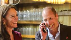 Kate Middleton conquistó en su regreso a sus deberes reales con un vestido merlot de 200 dólares