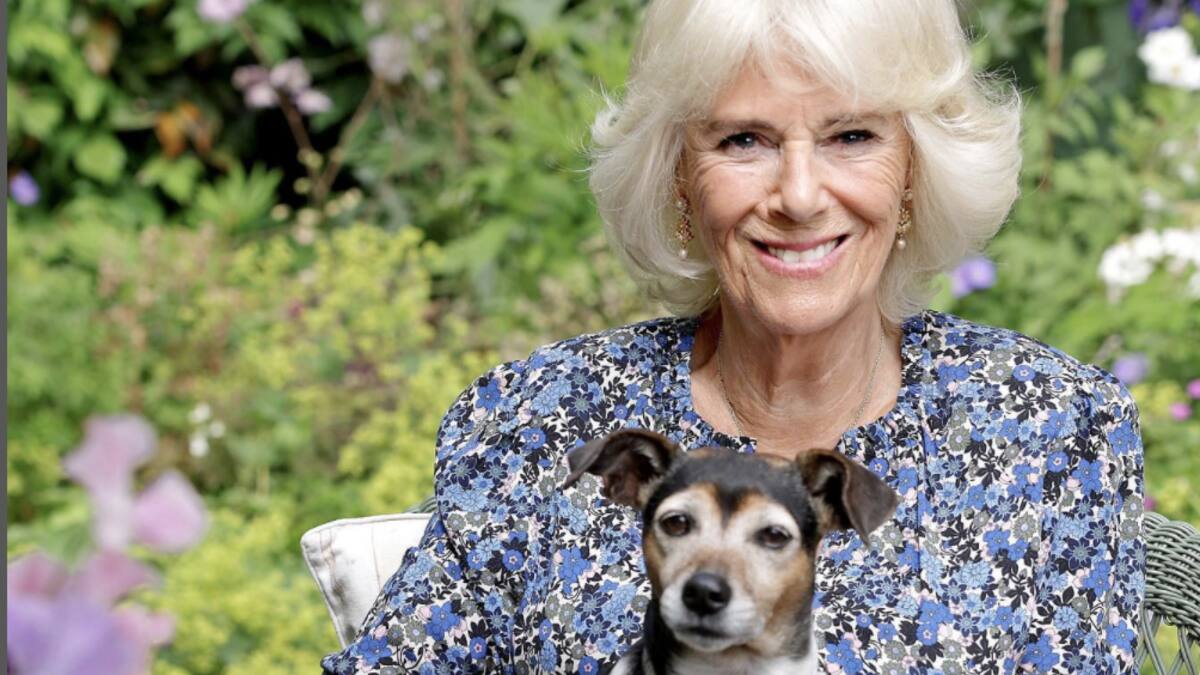 Camila Parker vive aterrorizada por el príncipe Harry