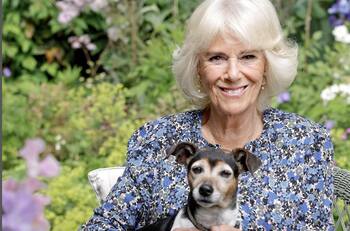 Camila Parker vive aterrorizada por el príncipe Harry