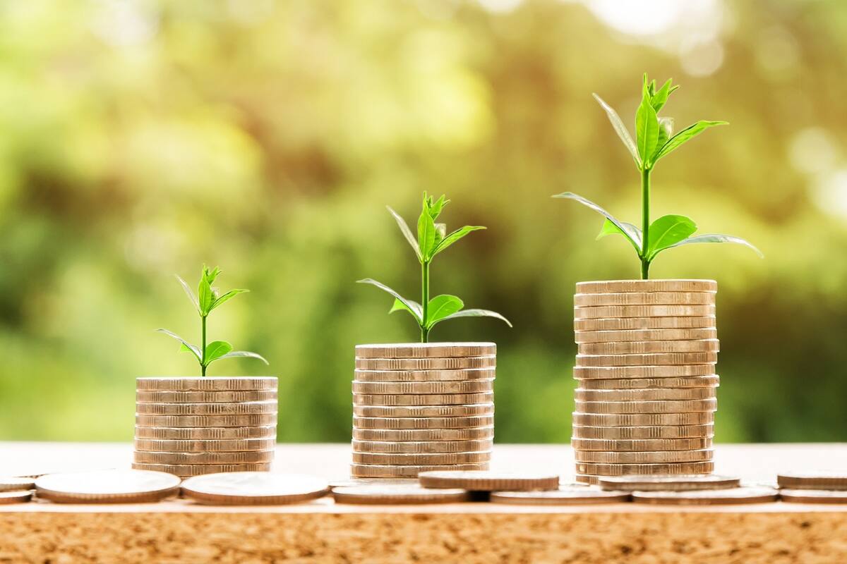 La llegada de 2023 traerá prosperidad en el plano económico para Tauro, Sagitario y Aries - Créditos: Pixabay