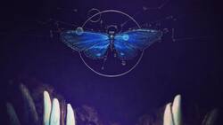 Numerología: Cuáles son los números que te darán suerte según el signo zodiacal que tengas