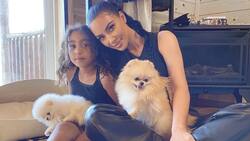 Kim Kardashian recibe críticas luego de que North revelara dónde guarda a sus perros