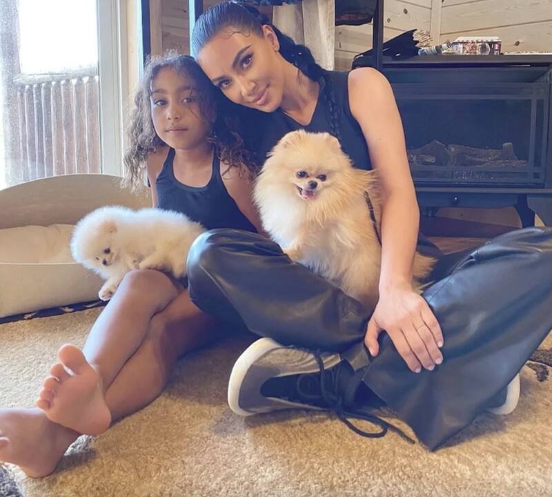 La razón por la que Kim Kardashian recibió críticas por el trato a sus mascotas - Créditos: Instagram