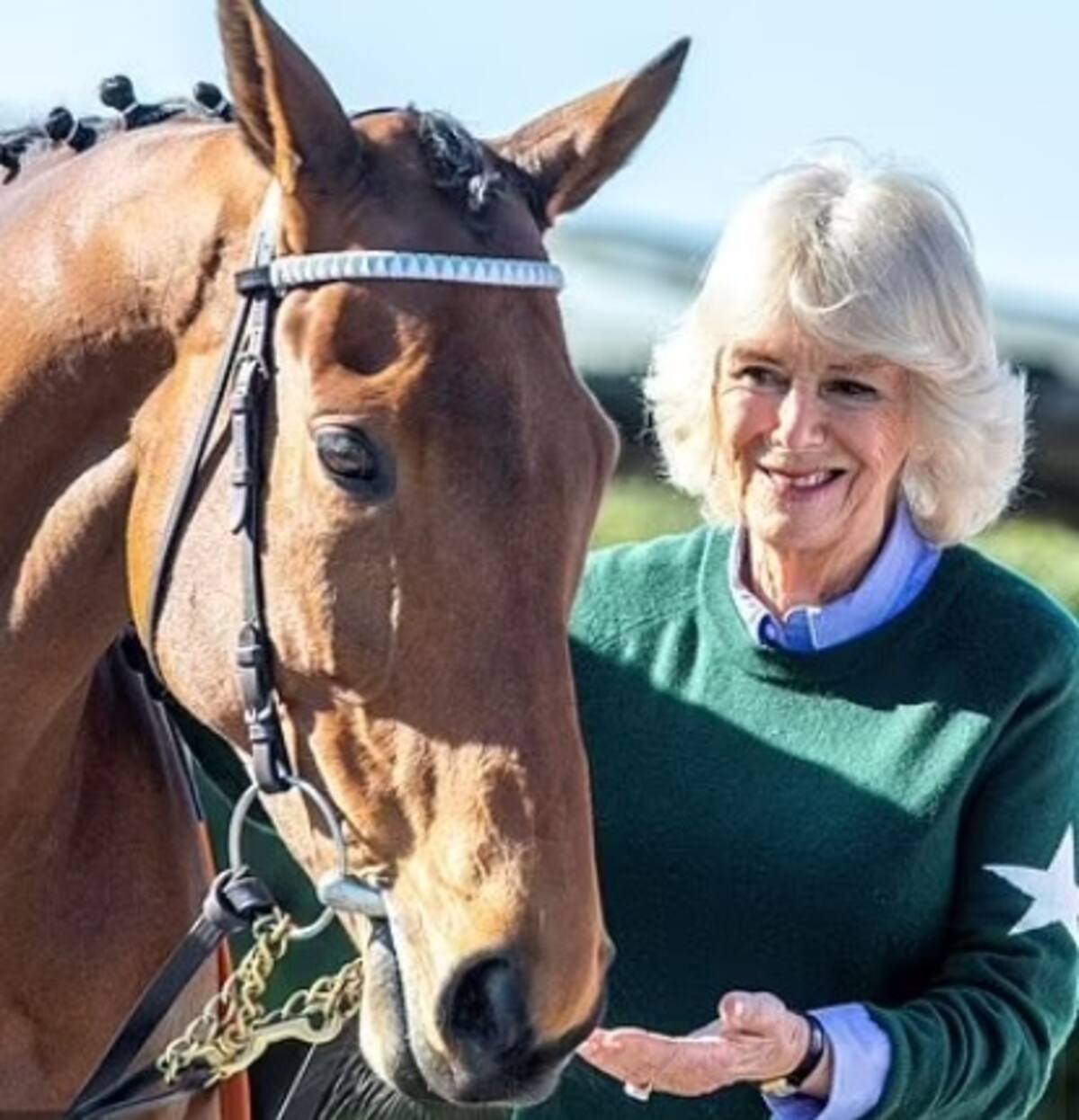 La reina Camila sorprende al mundo al revelar por qué dejó de montar caballos La reina tuvo que dejar de practicar equitación - Créditos: Instagram