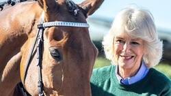 La reina Camila sorprende al mundo al revelar por qué dejó de montar caballos