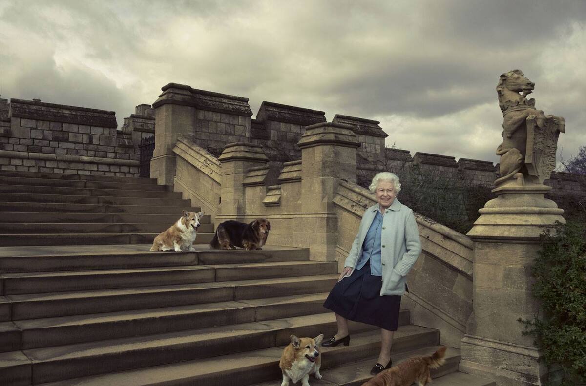 Entre los escándalos y el Jubileo de Platino, la Reina Isabel II inicia un emprendimiento con perros