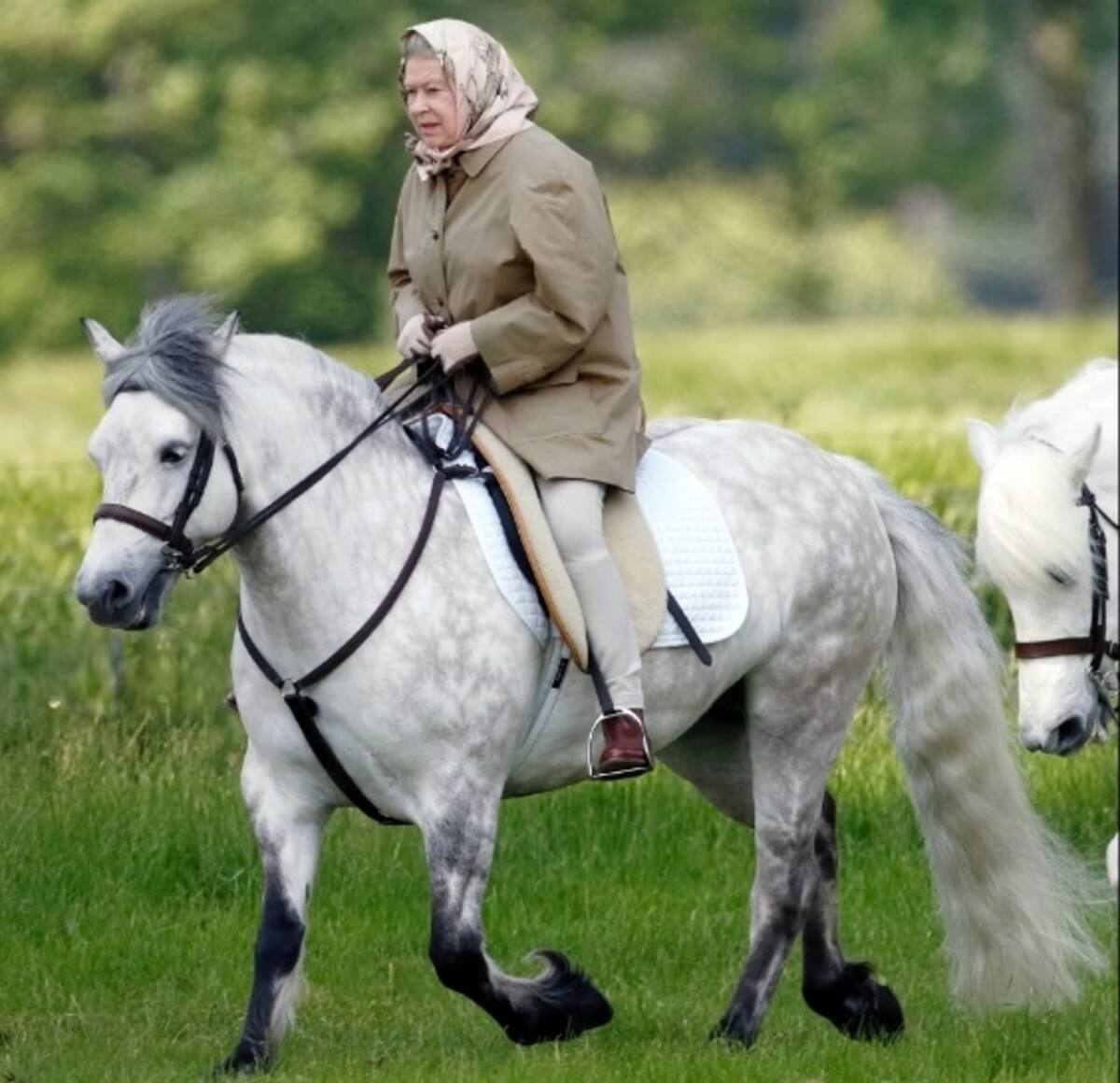 La última foto de la Reina Isabel II a caballo es de 2020. - Créditos: The Sun