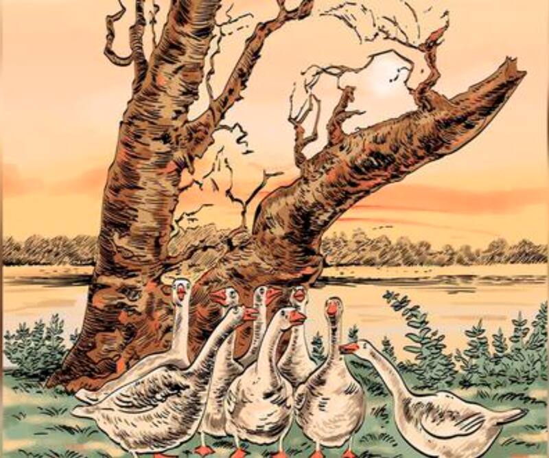 ¿Logras ver el zorro escondido en esta imagen? - Créditos: Genial Guru