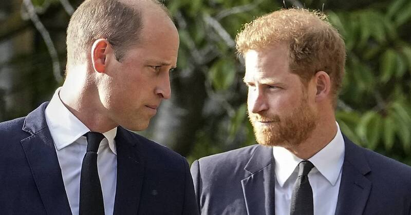 Los fans descubren el homenaje "secreto" del príncipe William a Harry en un nuevo vídeo - Créditos: Instagram