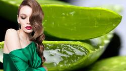 Transforma tu melena: Elimina el frizz con queratina hecha en casa