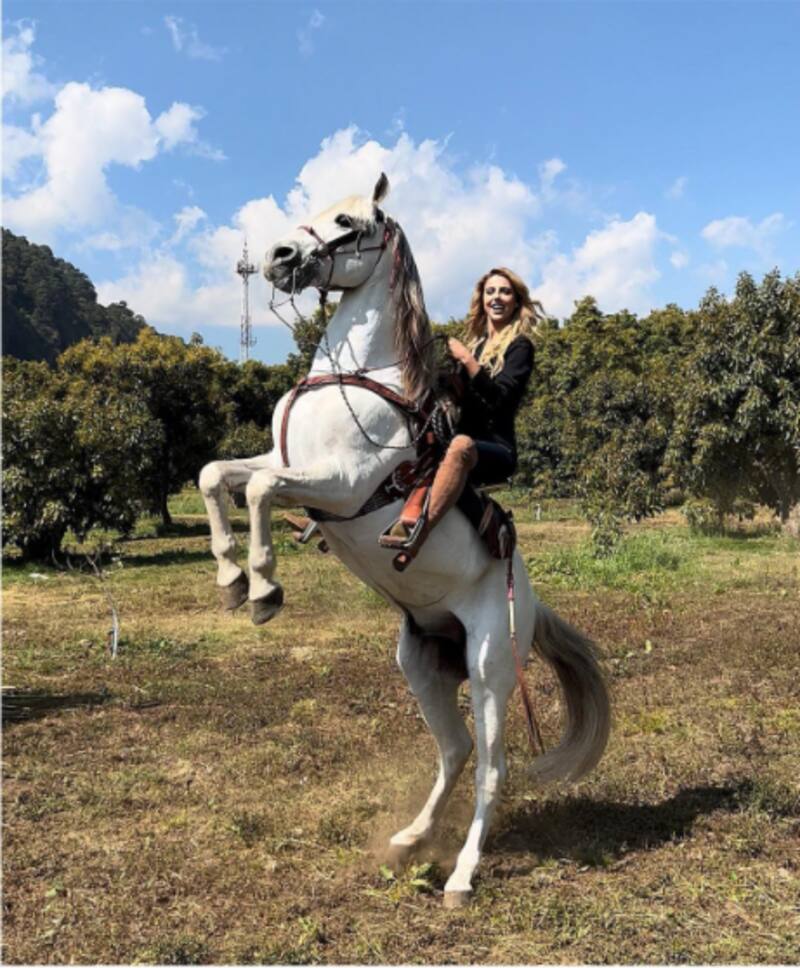 Michelle Renaud sufre fuerte accidente al caer de un caballo - Créditos: Instagram