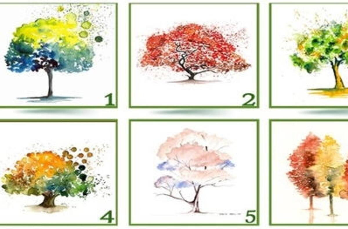 ¿Qué árbol te gusta más? El que elijas revelará aspectos de tu personalidad