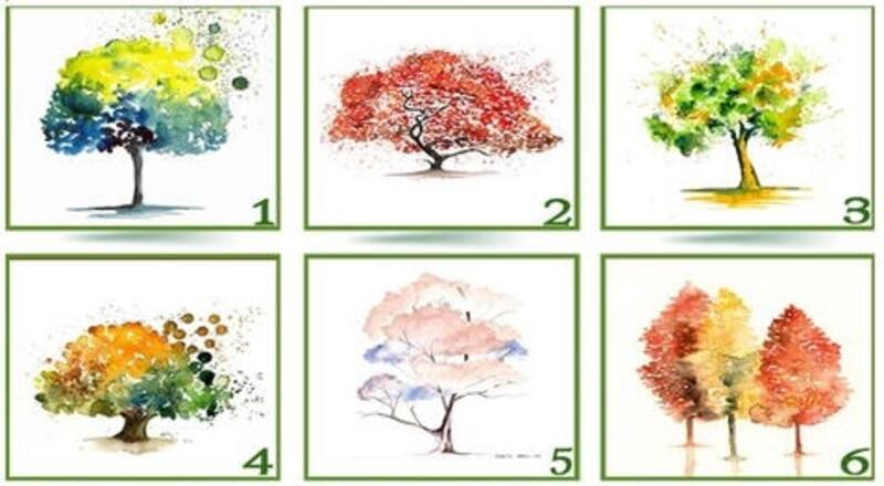 Mira con detenimiento y elige uno - Créditos: Líbero