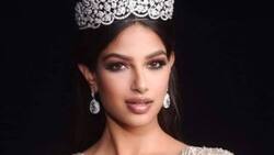 Miss Universo aparece cuestionada por fans que advierten sobre su apariencia en entrega de premios