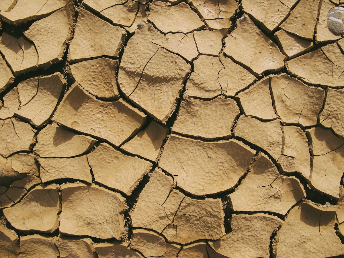 También podría pronosticar sequías, crisis económicas o sociales. Créditos: Pexels.