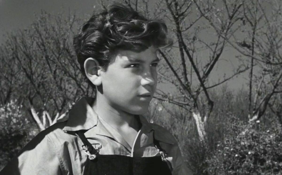 Muere Alfonso Mejía, actor de 'Los Olvidados' - Créditos: Captura de Pantalla