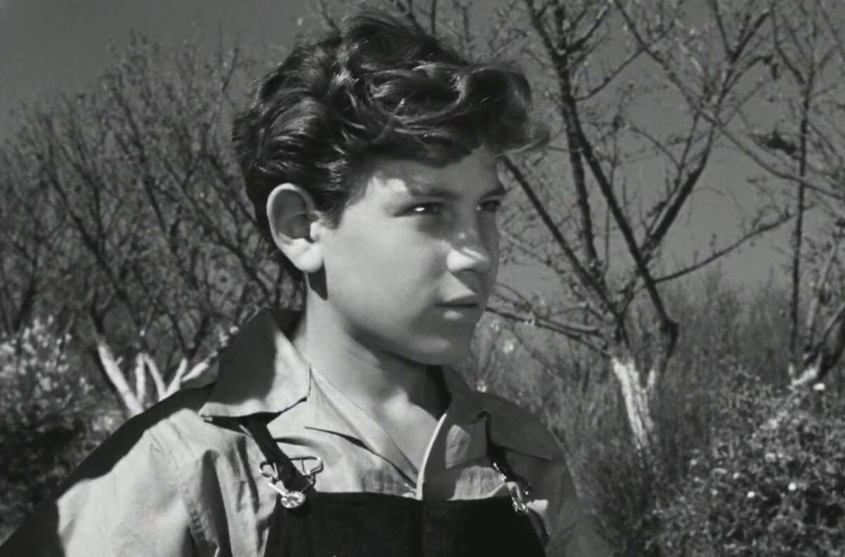 Murió Alfonso Mejía, actor que interpretó a ‘Pedro’ en 'Los olvidados' de Luis Buñuel