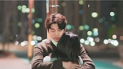 'Goblin' llegará a Netflix pero con significativos cambios