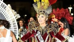 Vestido de Amanda Dudamel en Miss Universo se convierte en símbolo para lucir en carnavales
