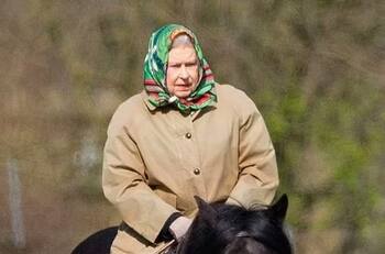 Palacio real informa estado de salud del caballo que despidió a reina Isabel II