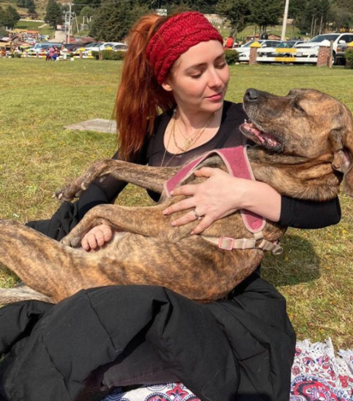 Perrita de Ariadne Díaz fue devorada por un cocodrilo; la actriz está destrozada - Créditos: Instagram Ariadne Díaz