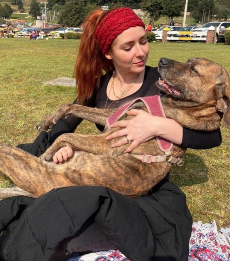 Perrita de Ariadne Díaz fue devorada por un cocodrilo; la actriz está destrozada - Créditos: Instagram Ariadne Díaz